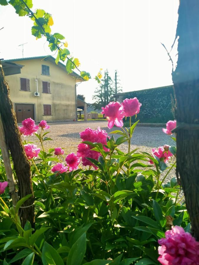 Monteforte dʼAlpone Corte Ohana מראה חיצוני תמונה