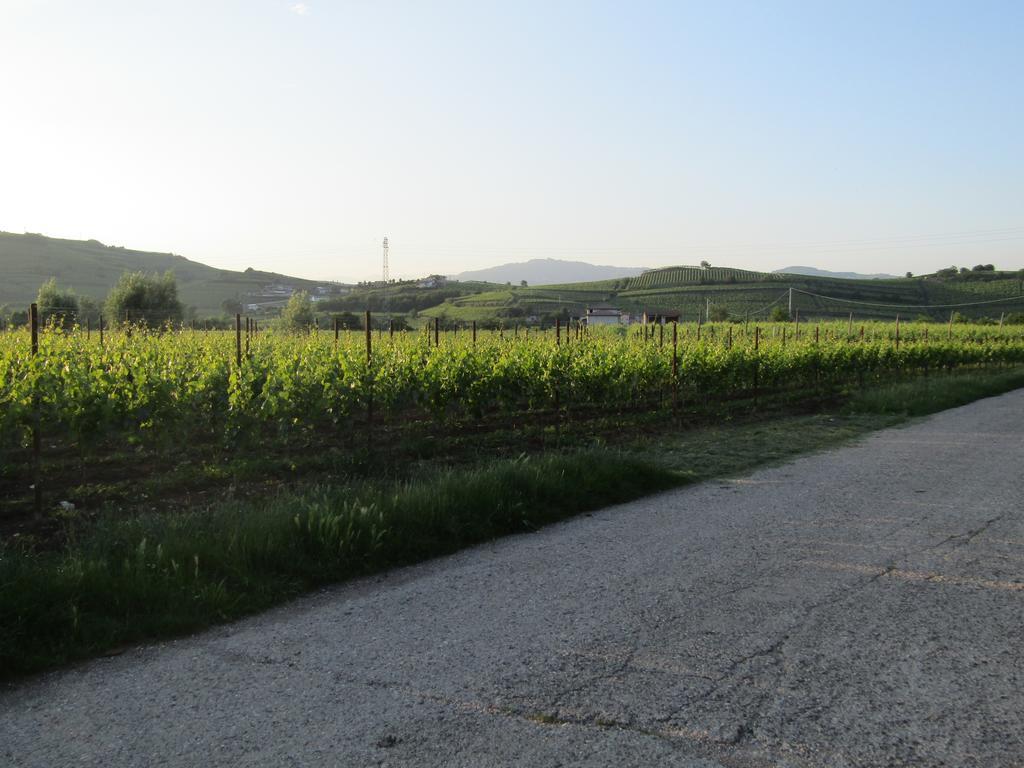 Monteforte dʼAlpone Corte Ohana מראה חיצוני תמונה